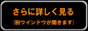 さらに詳しく見る